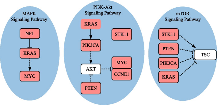 PMC10207662 – Fig6