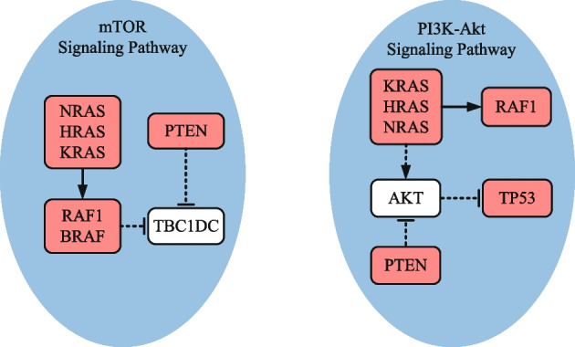 PMC10207662 – Fig9