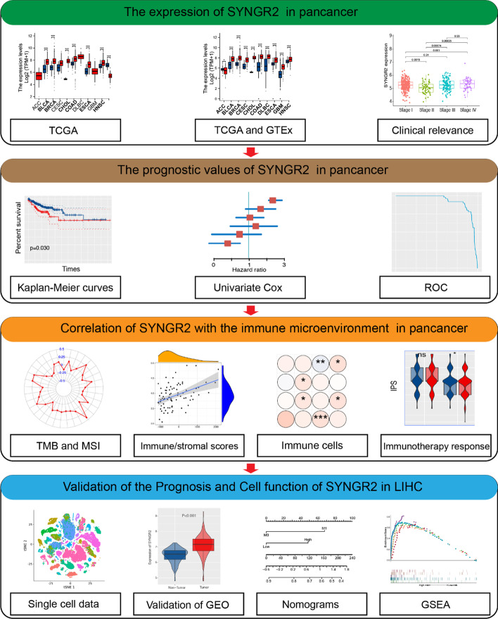 PMC10173524 – Fig1