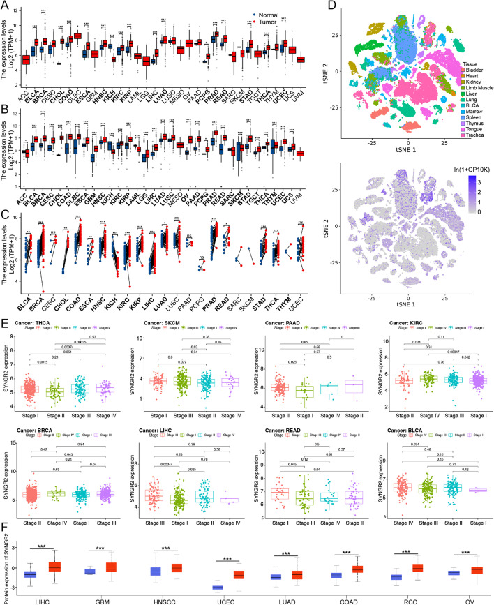 PMC10173524 – Fig2