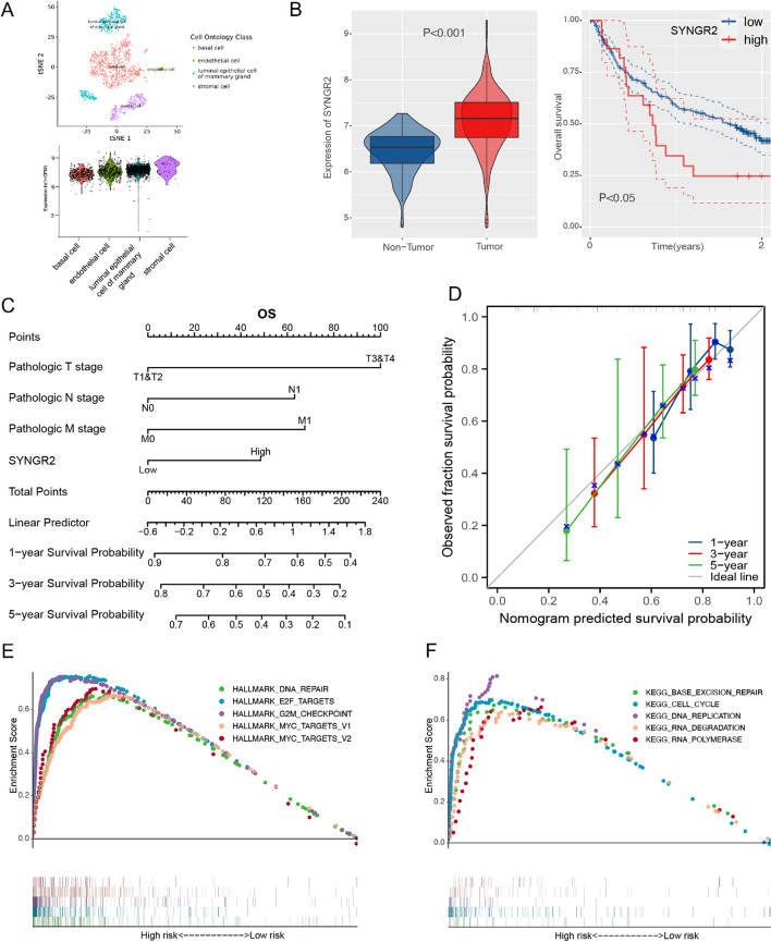 PMC10173524 – Fig8