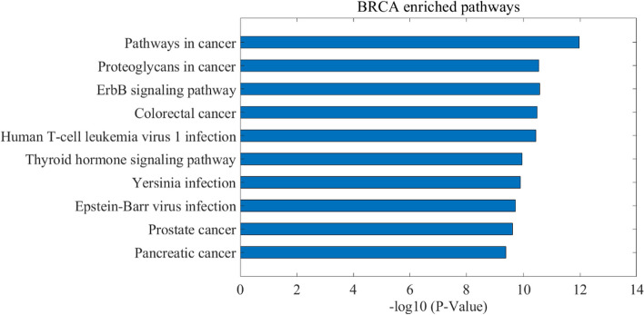 PMC10804660 – Fig6