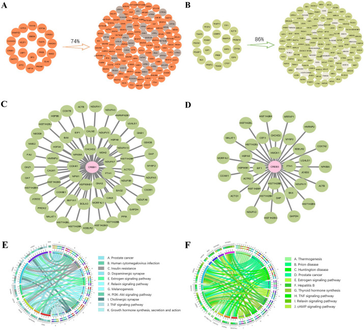 PMC10822190 – Fig4