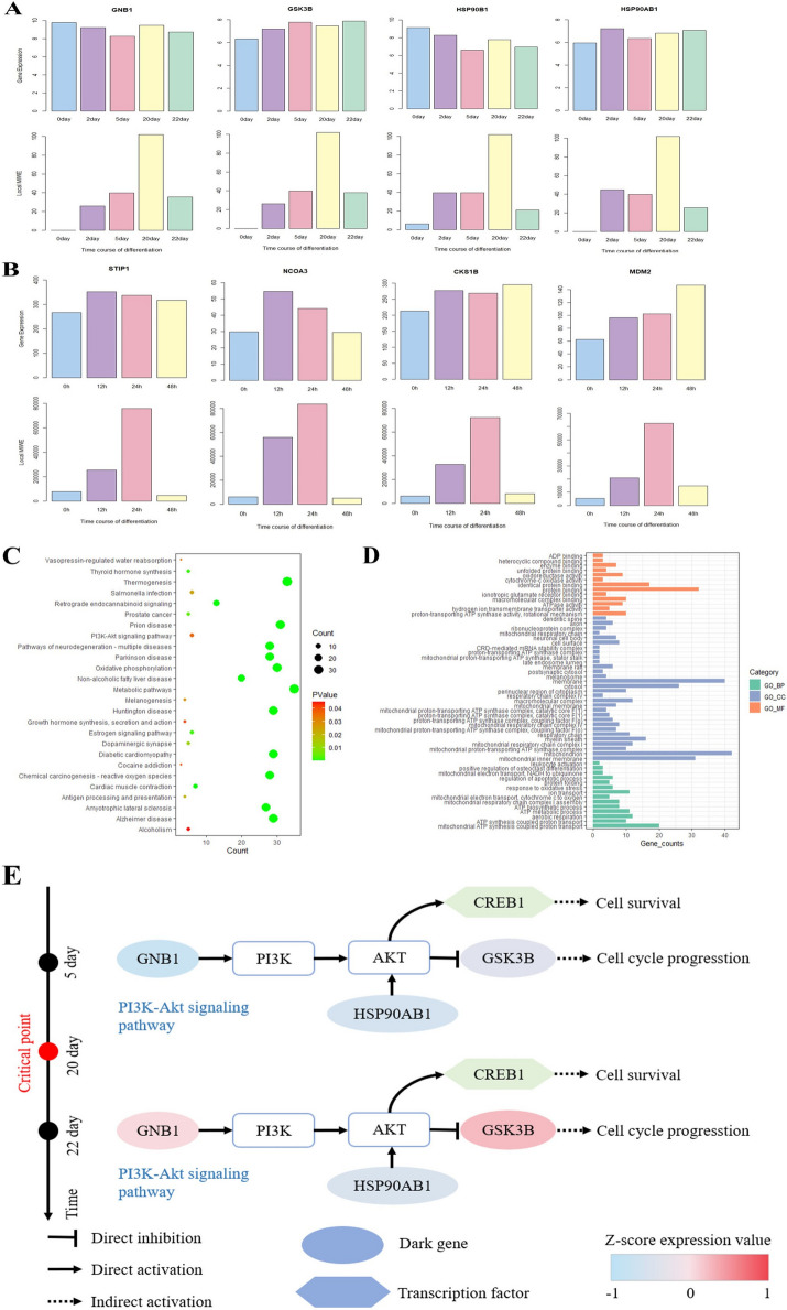 PMC10822190 – Fig5