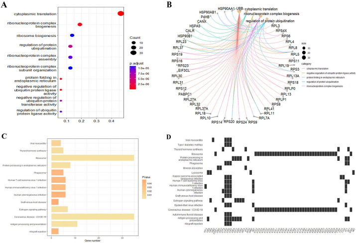 PMC10822190 – Fig7