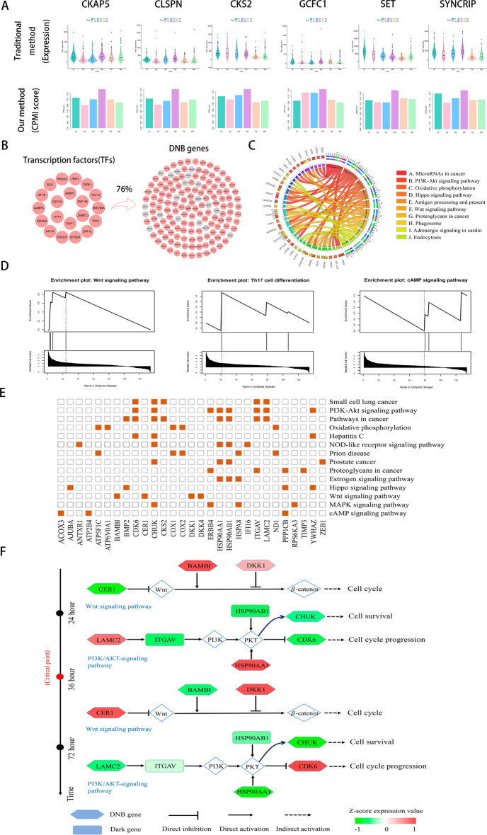 PMC11180411 – Fig5
