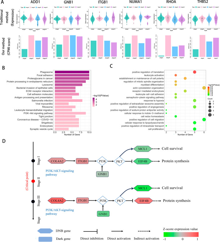PMC11180411 – Fig7