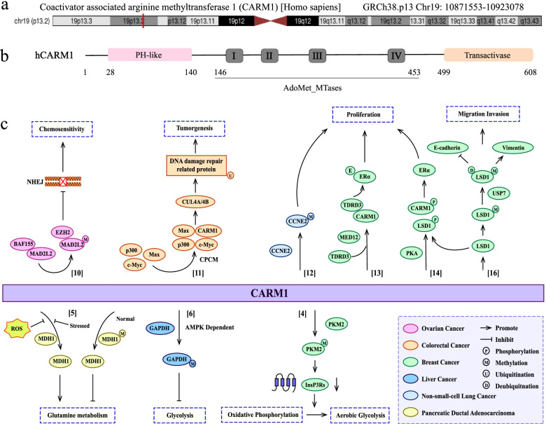 PMC8761291 – Fig1