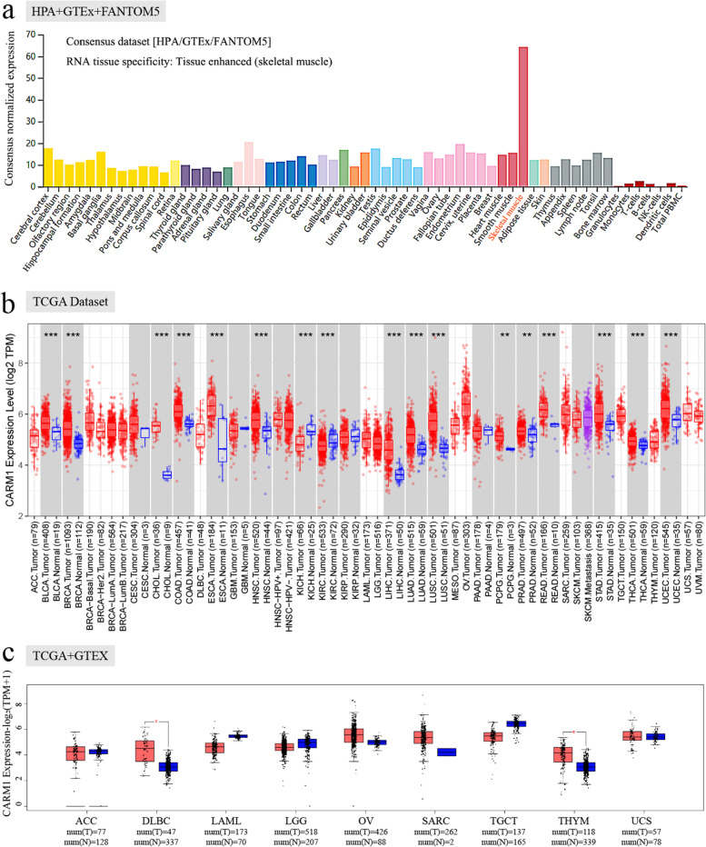 PMC8761291 – Fig2
