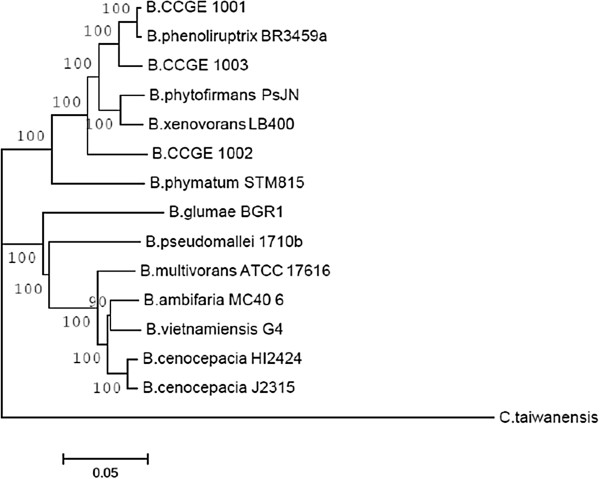 PMC4101177 – Fig1