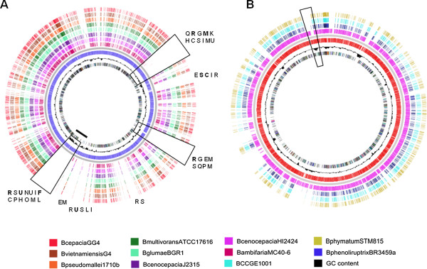 PMC4101177 – Fig3