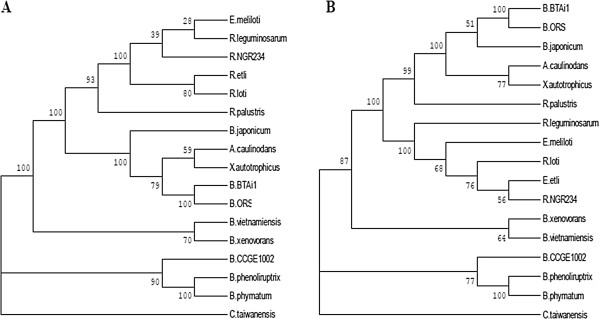 PMC4101177 – Fig5
