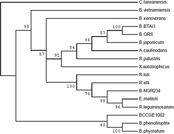 PMC4101177 – Fig6