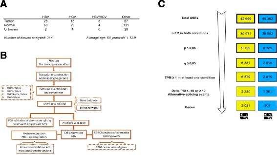 PMC5002109 – Fig1
