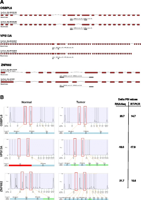 PMC5002109 – Fig4