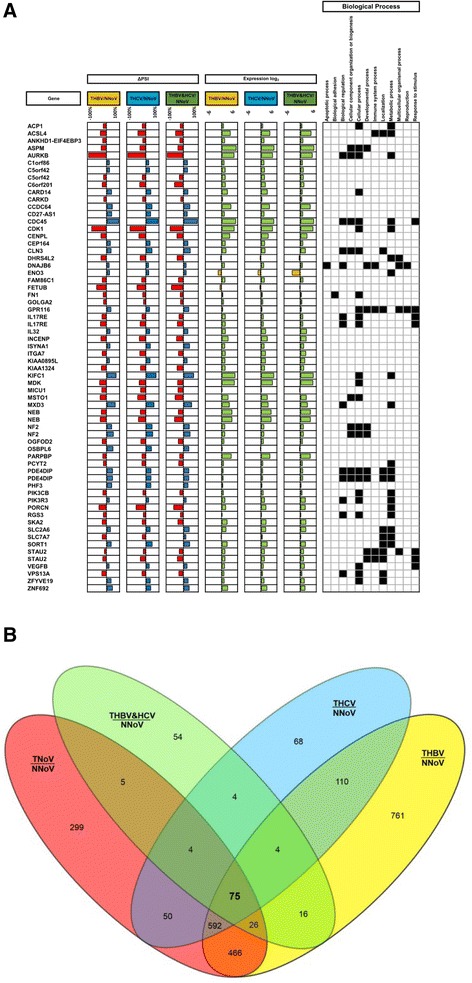 PMC5002109 – Fig5