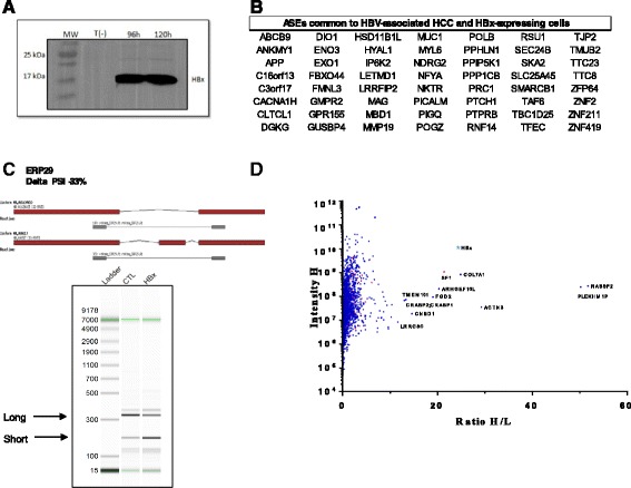 PMC5002109 – Fig8
