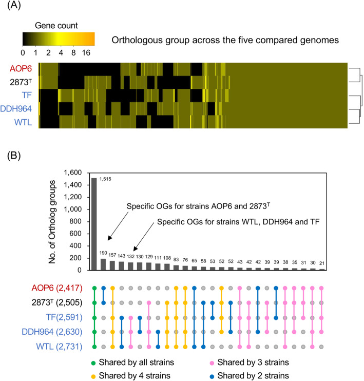 PMC8235581 – Fig2