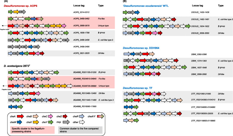 PMC8235581 – Fig4