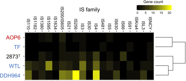 PMC8235581 – Fig6