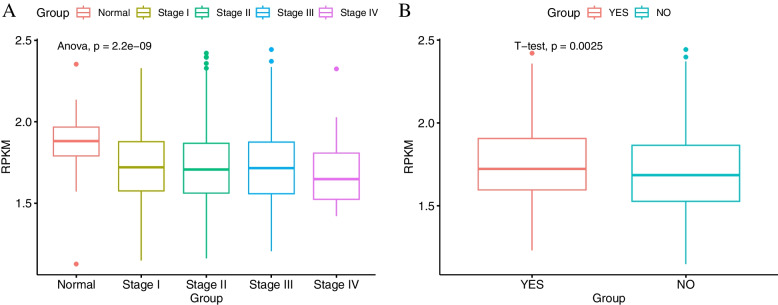 PMC9936134 – Fig6