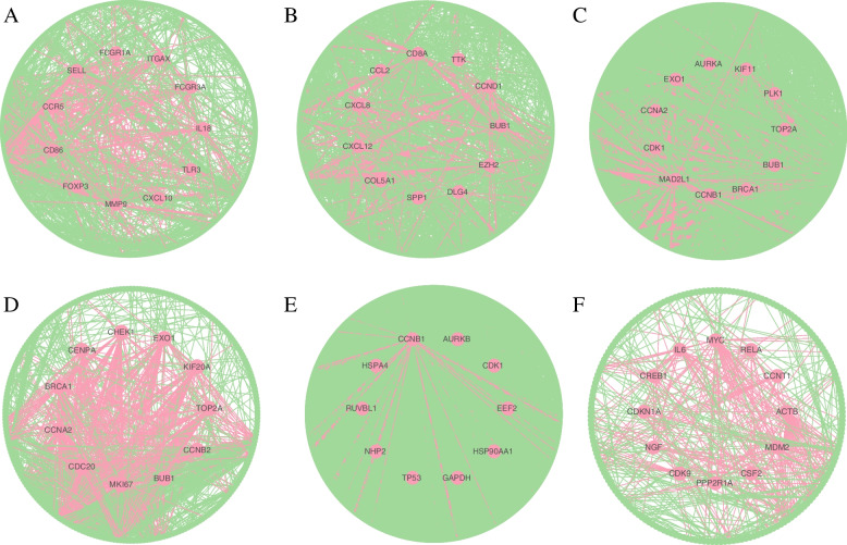 PMC9936134 – Fig7