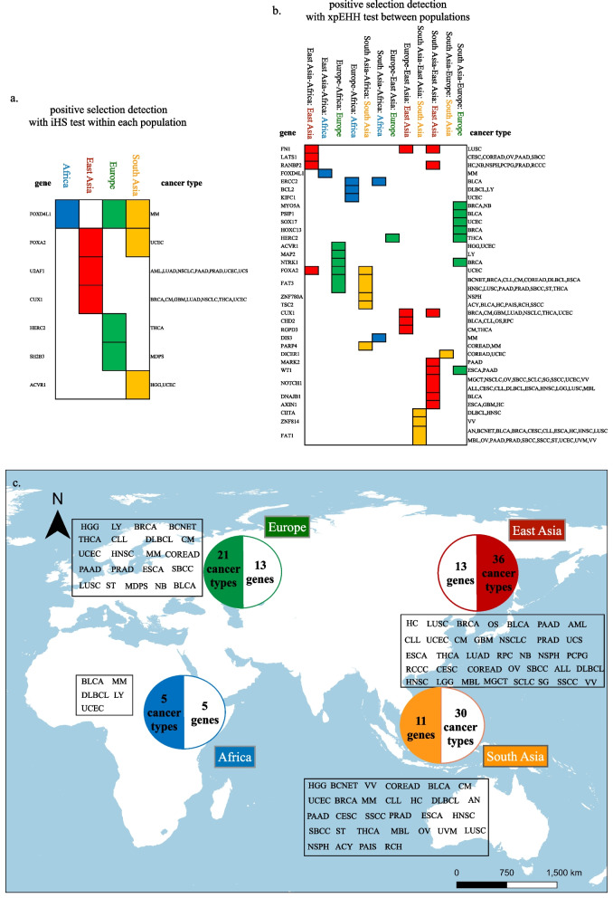 PMC10131384 – Fig2