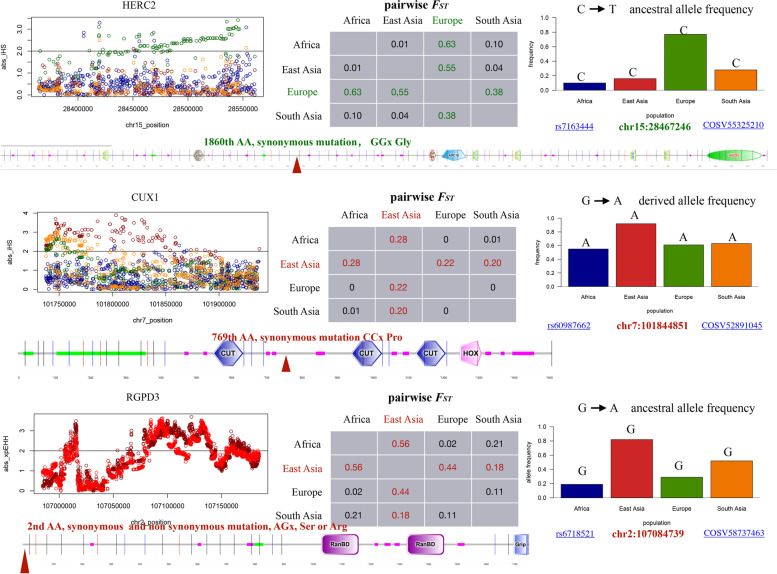 PMC10131384 – Fig3