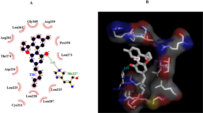 PMC12312531 – Fig6