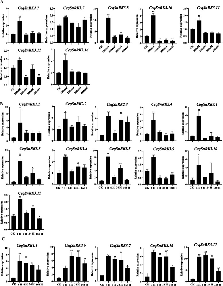 PMC9733041 – Fig10