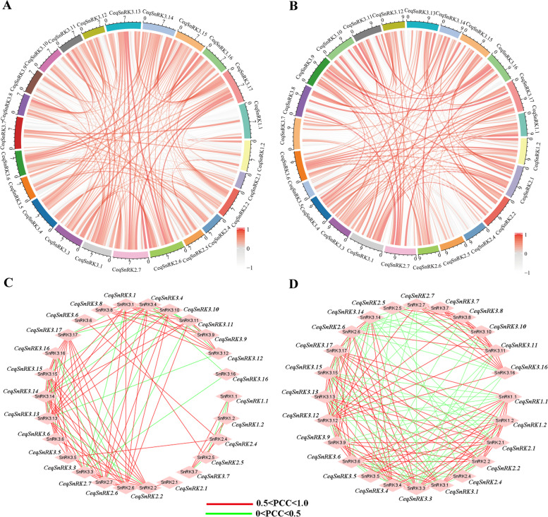 PMC9733041 – Fig11