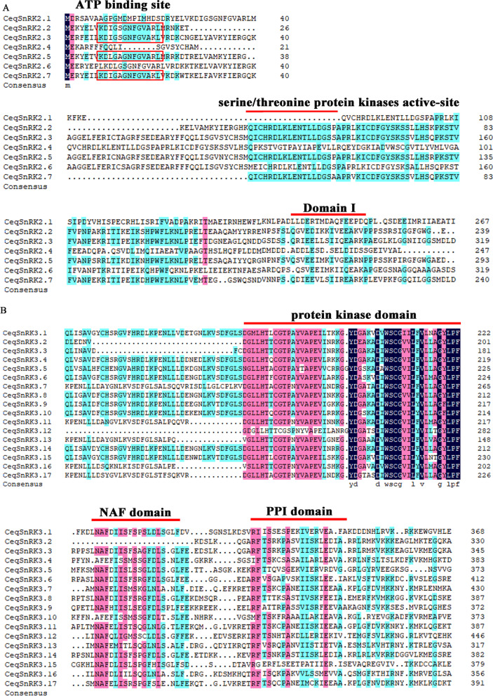 PMC9733041 – Fig2