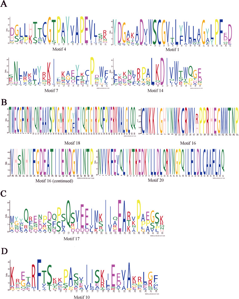 PMC9733041 – Fig5