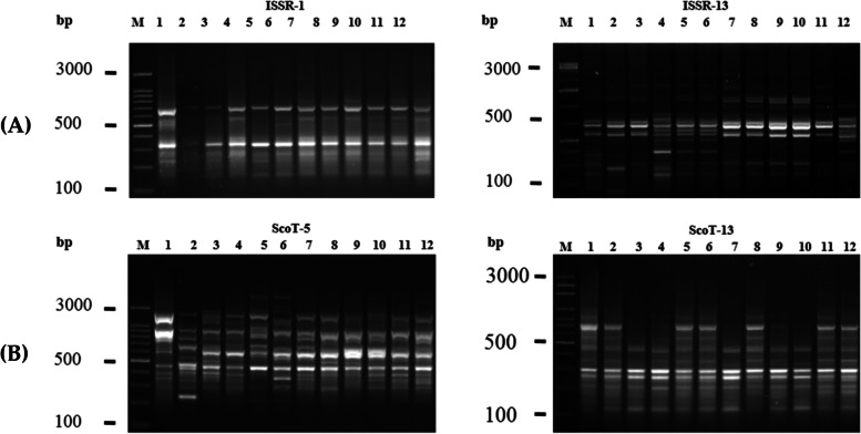PMC10088244 – Fig1