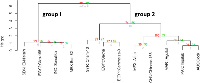 PMC10088244 – Fig5