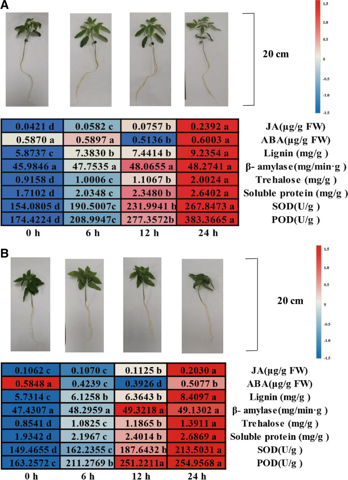 PMC10594861 – Fig1