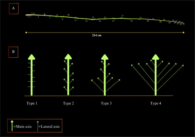 PMC10902964 – Fig10