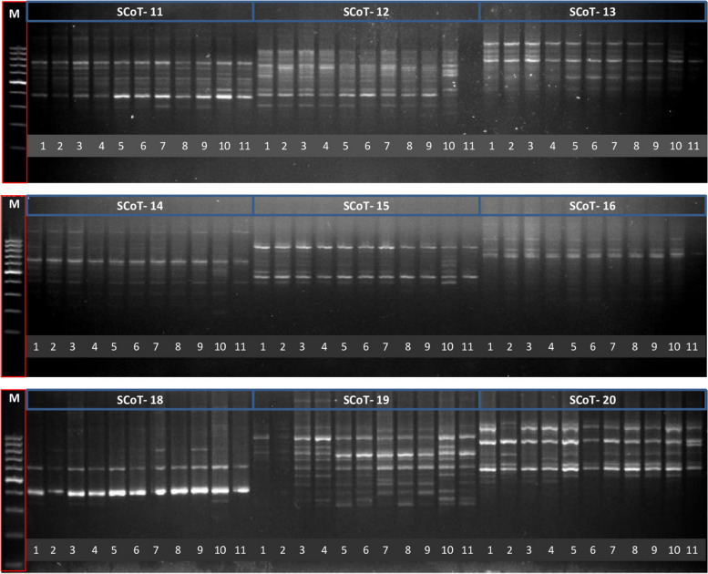 PMC11247860 – Fig2