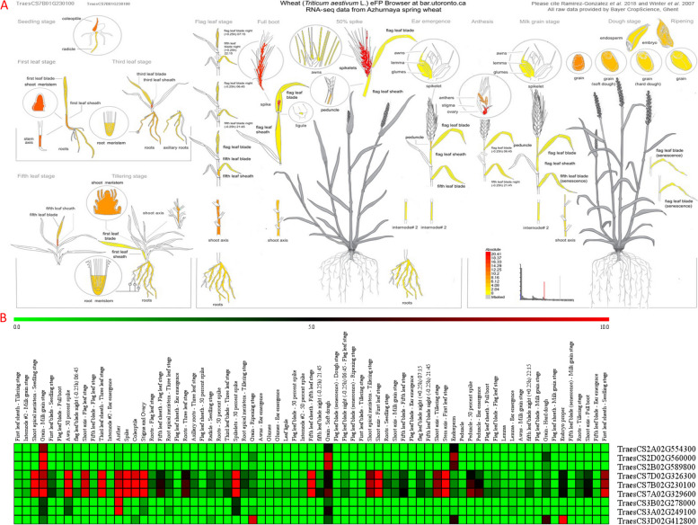 PMC11247860 – Fig4