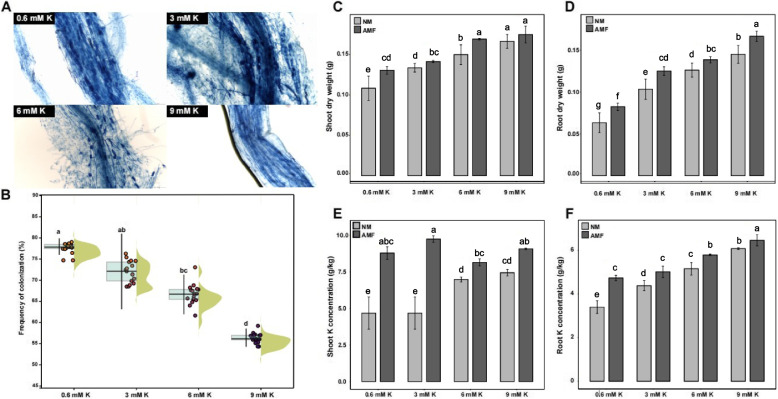 PMC11378567 – Fig1