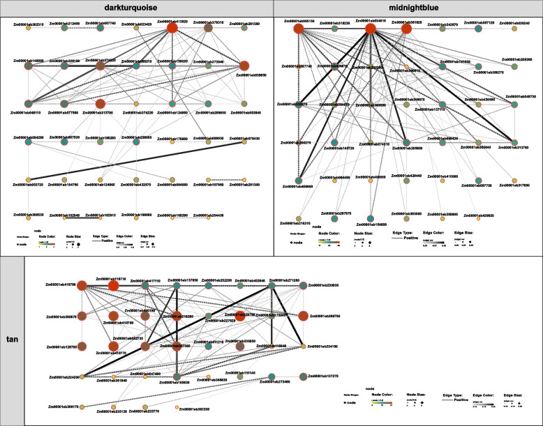 PMC11378567 – Fig4