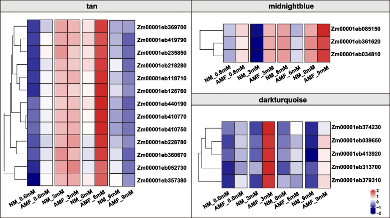 PMC11378567 – Fig5