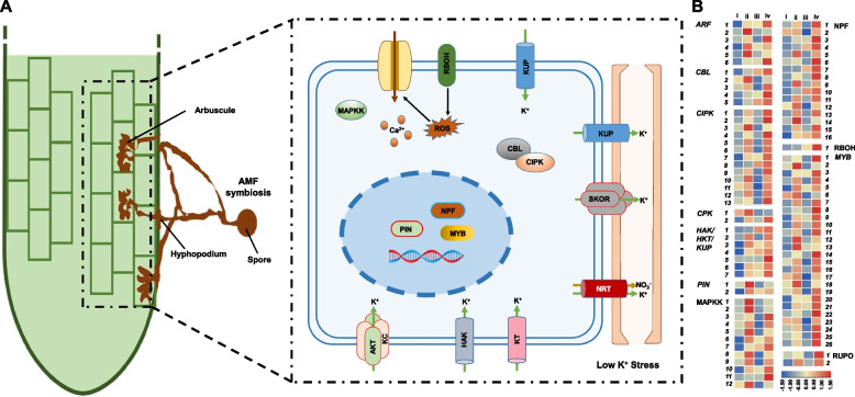 PMC11378567 – Fig6