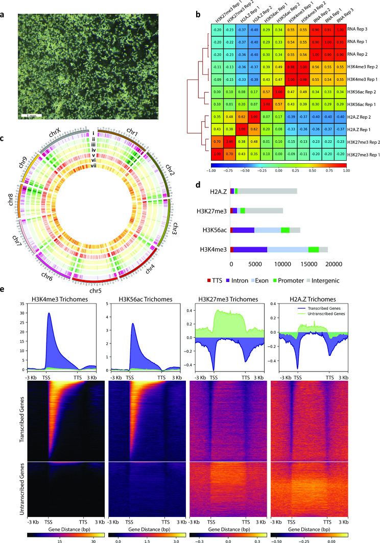 PMC11562870 – Fig1