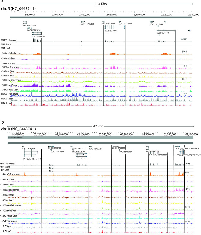 PMC11562870 – Fig4