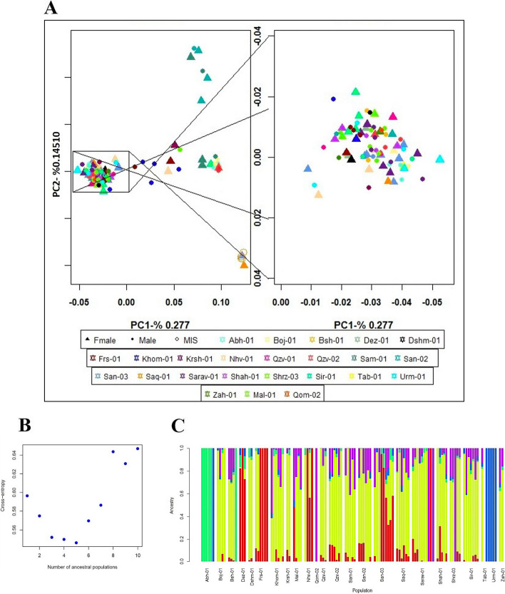PMC11748290 – Fig2