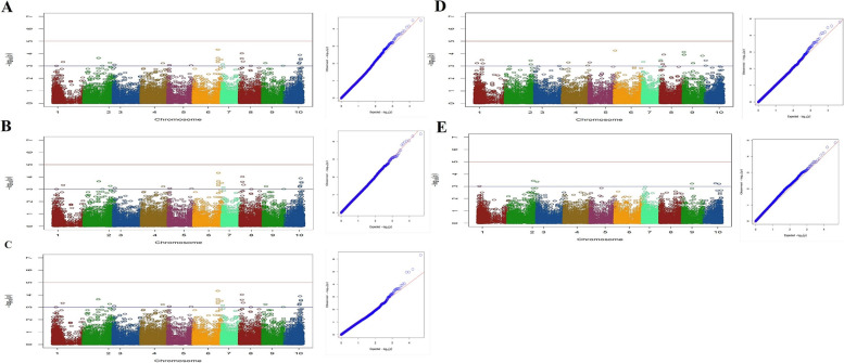 PMC11748290 – Fig6