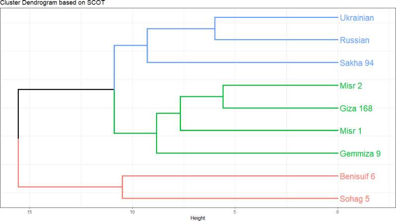 PMC12341216 – Fig10