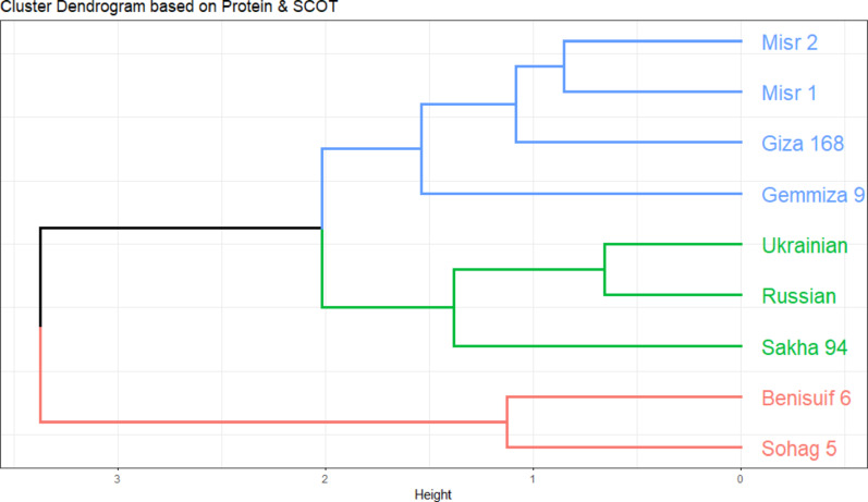 PMC12341216 – Fig11
