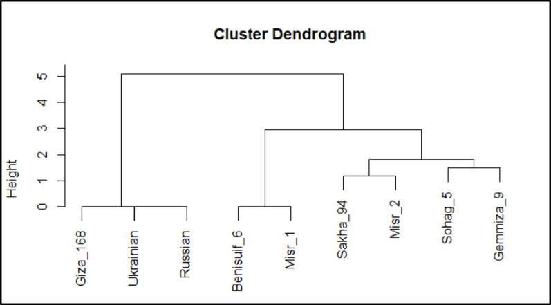 PMC12341216 – Fig12